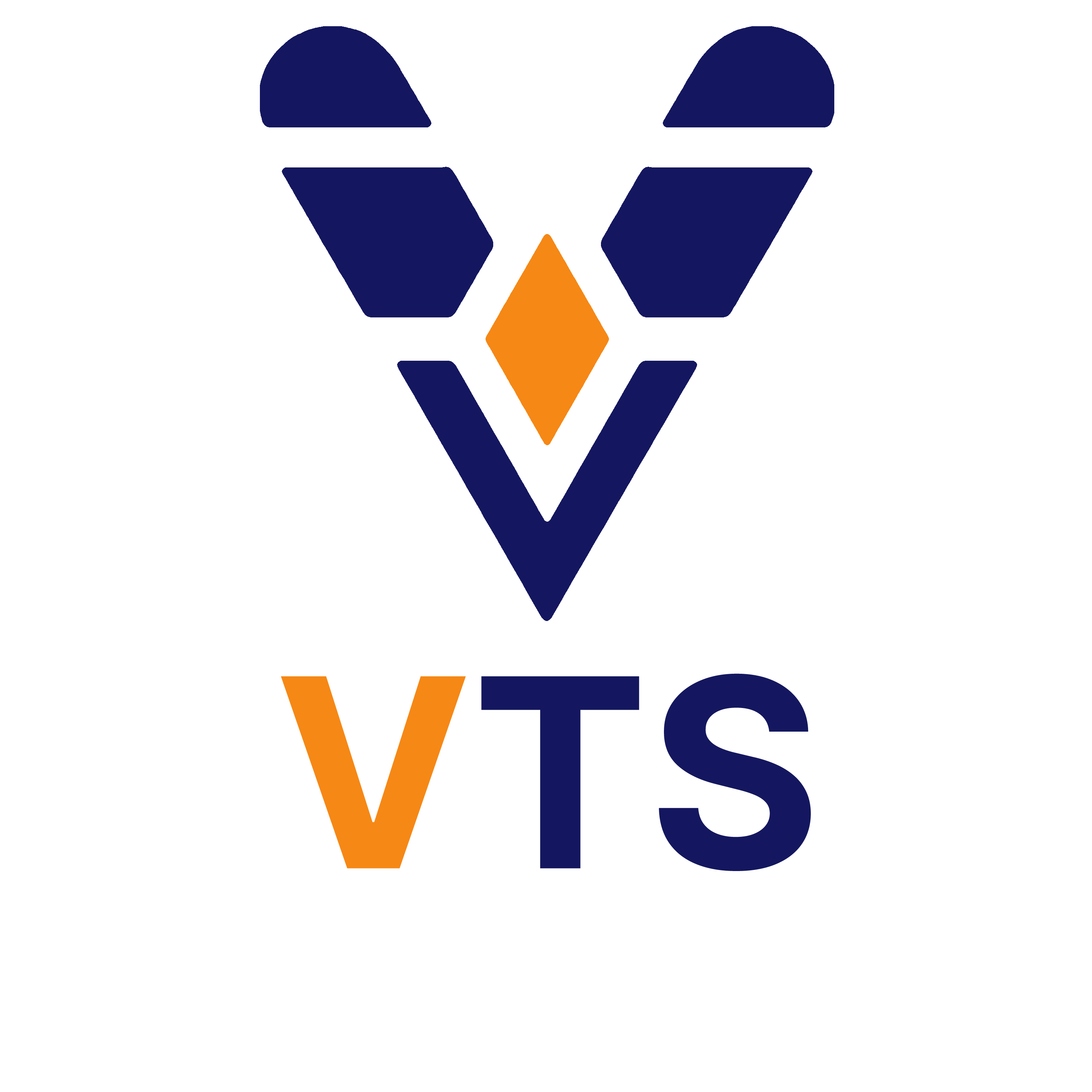 VTSVsion